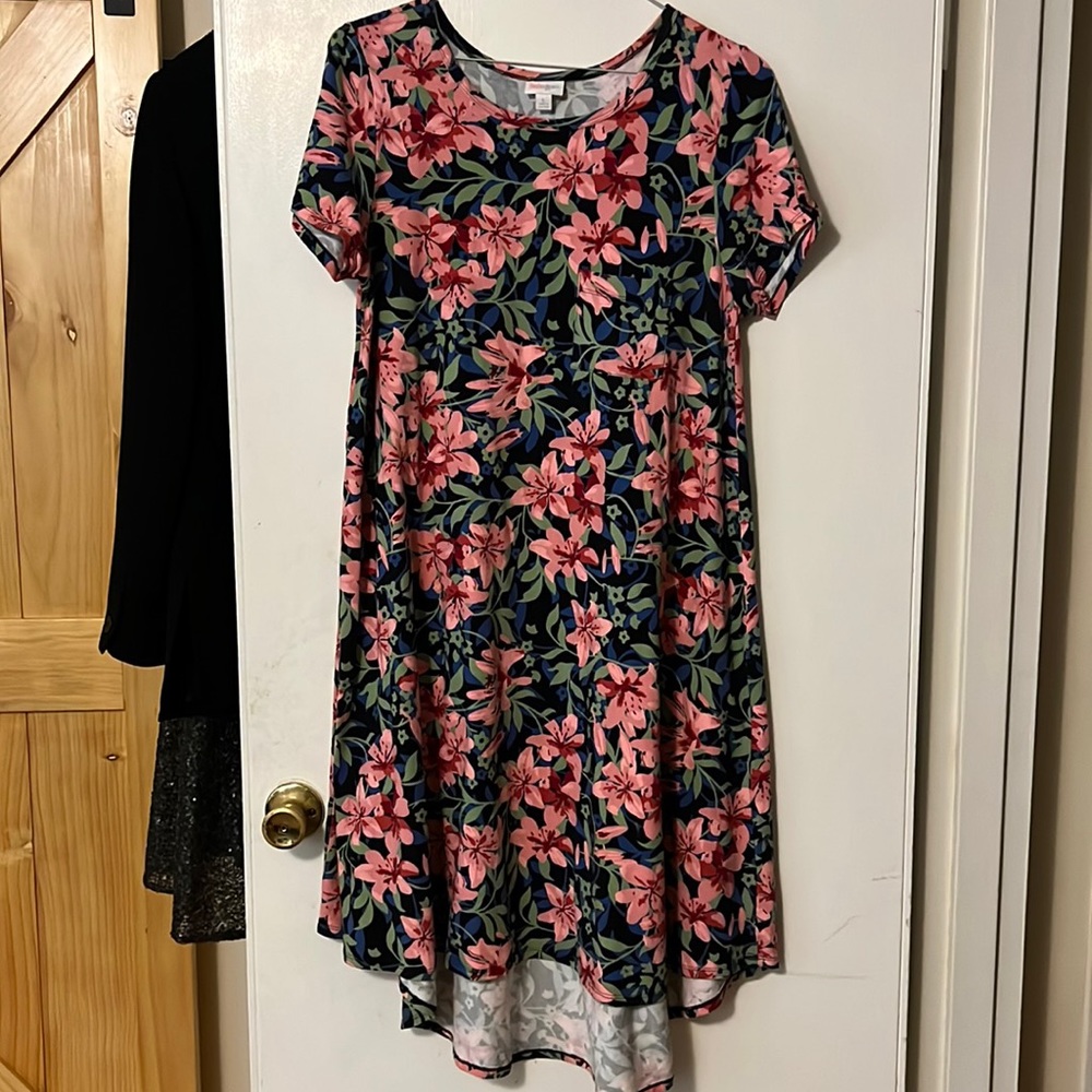 Lularoe Carly Dress with Pink Flowers